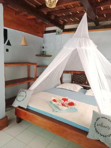 Hostal Sumatra Orangutan Explore