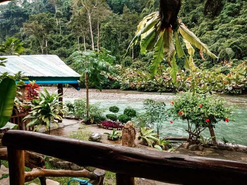 Hostal Sumatra Orangutan Explore