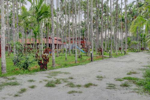 Hotel Ezzenza Areca Resort