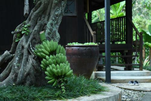 Villa Mae Nai Gardens