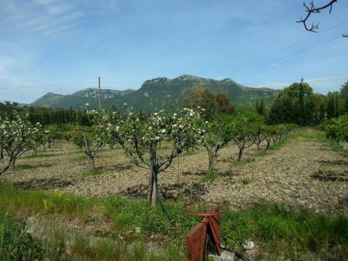 Agroturismo I Cedri Agriturismo