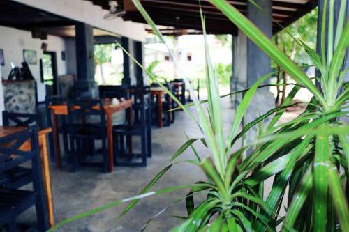 Hostal Manel Guest House