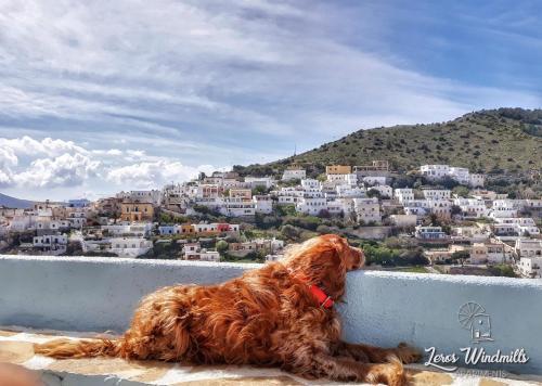 Apartamento Leros Windmills