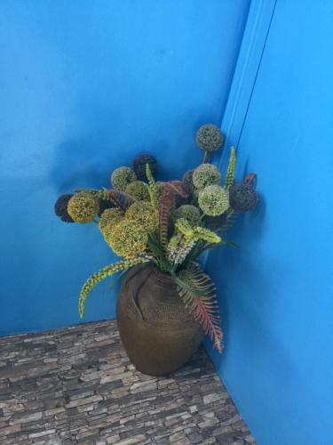 Apartamento Mint Guesthouse
