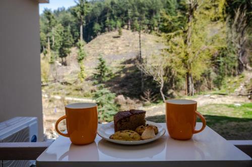 Hotel Anand Vardhan Resorts