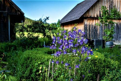 H�blinghof