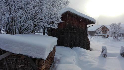Apartamento Haus Manser