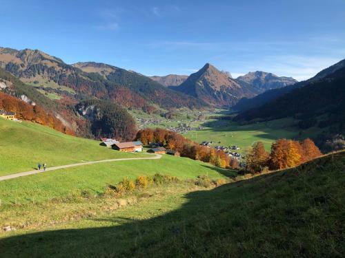 Hostal Haus Erna Schoppernau