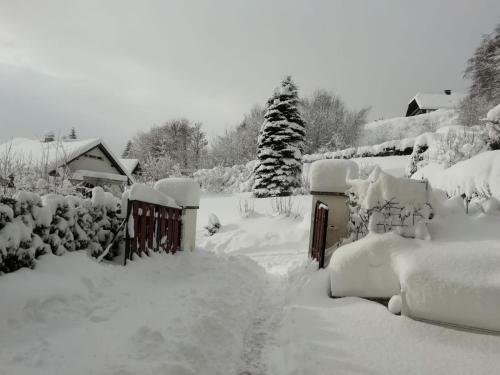 Bed & Breakfast Tannenhof
