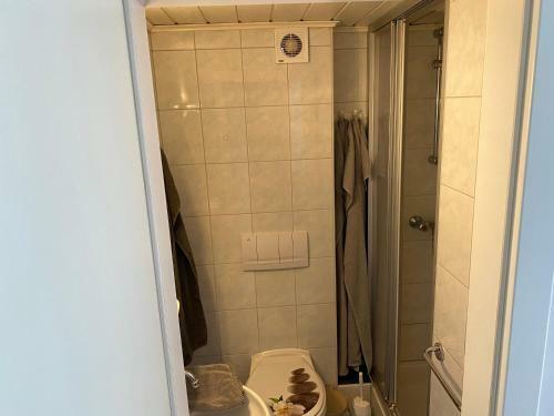 Hostal Molltaler Appartements
