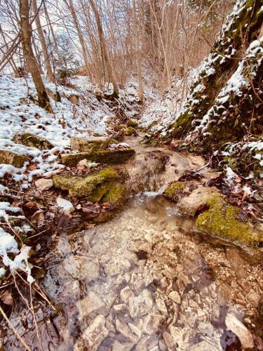 Apartamento Ferienwohnungen Uriwang - Urlaub Im Gr�nen
