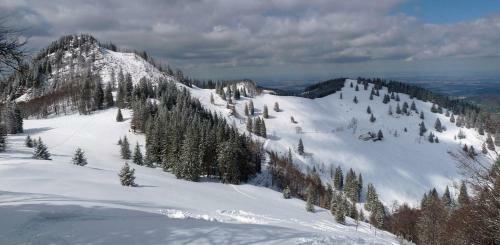 Apartamento Ferienwohnungen Uriwang - Urlaub Im Gr�nen