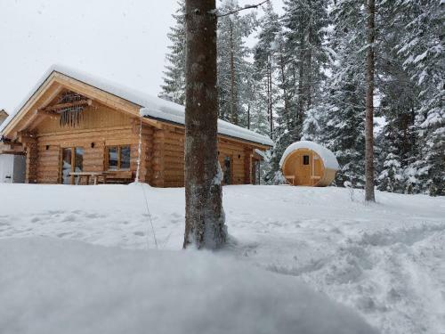 Ferienhaus - Chalet - Lechtraum