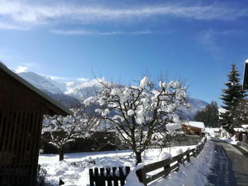Ferienhaus Lurger