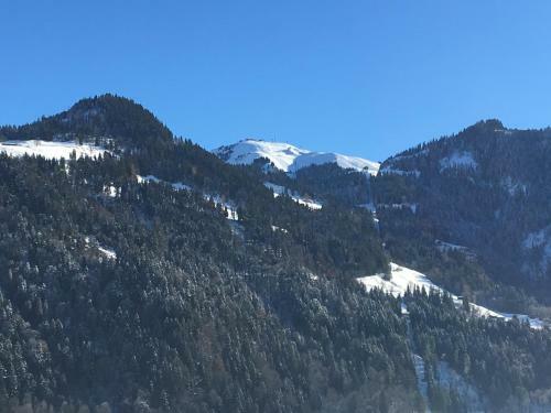 Apartamento Bauernhof Hinterfirst