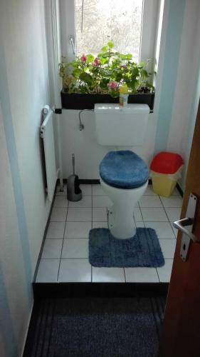 Agroturismo Haus Agerer