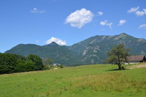 Apartamento Coralie