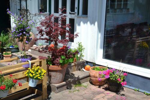 Apartamento Coralie