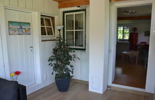 Apartamento Coralie