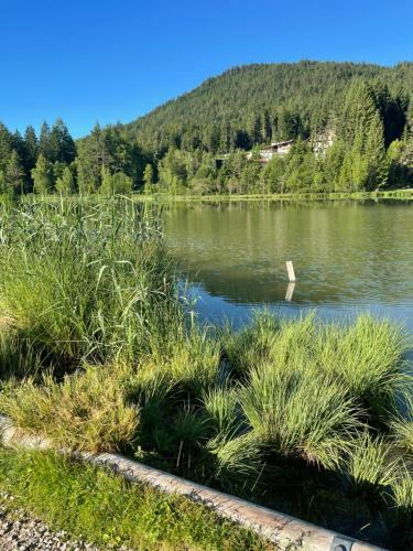 Lakeside Apartments Seefeld