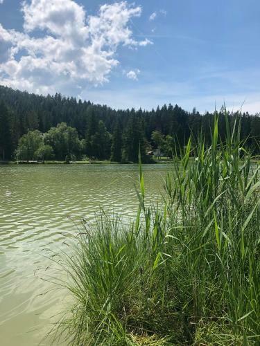 Lakeside Apartments Seefeld