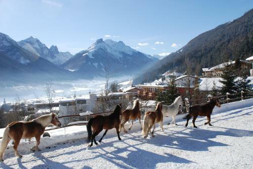 Apartamento Kassnhof - Urlaub In Den Bergen