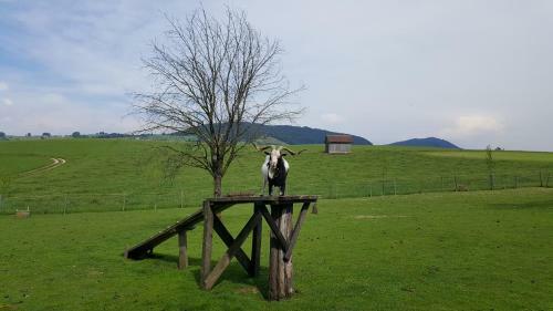 Agroturismo Pension Zenzlgut