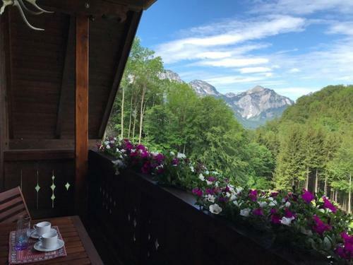 Hostal Ferienwohnung Hochsteinalm
