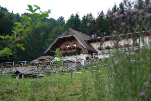 Hostal Ferienwohnung Hochsteinalm