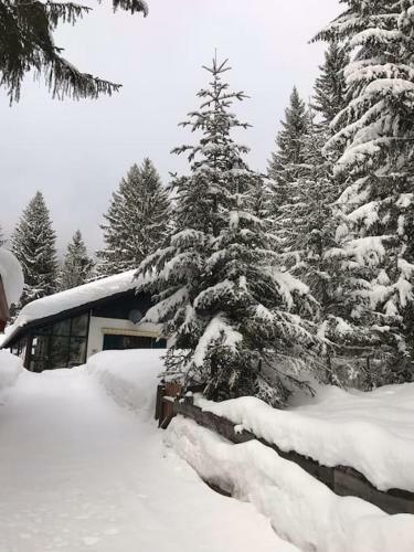 Alpenchalet Im Steirischen Salzkammergut