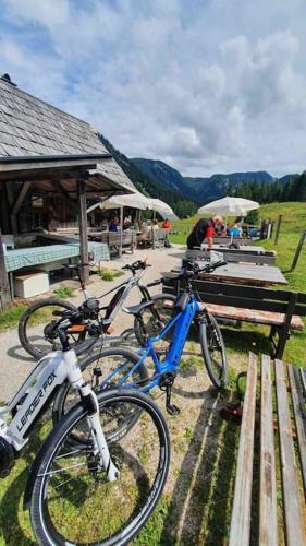 Alpenchalet Im Steirischen Salzkammergut