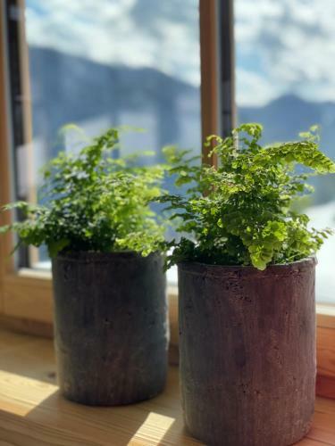 Apartamento Ferienhaus Mandlberg