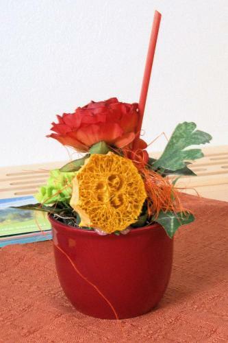 Bed & Breakfast G�stehaus P�rstl-kocher