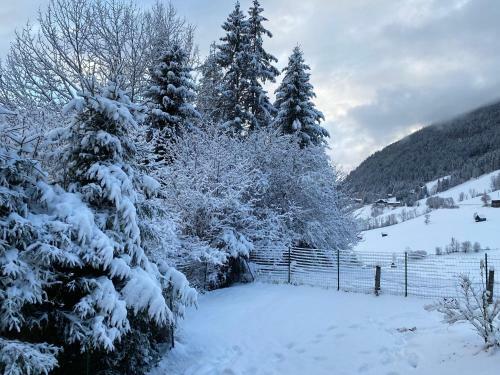 Hostal Chalet Janer