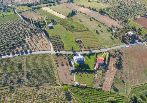 Apartamento Villa In Nature