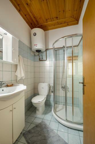 Apartamento Archontiko Rapti Stone Traditional House