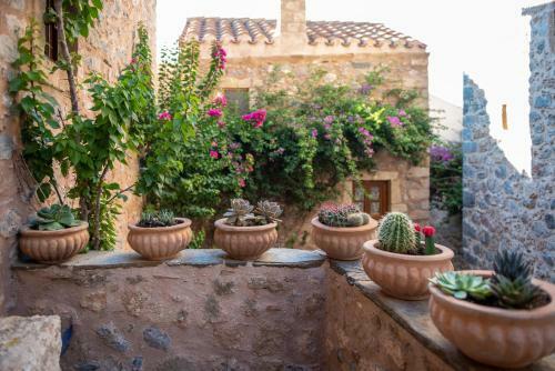 Villa Casa Felicia-the Castle Mansion
