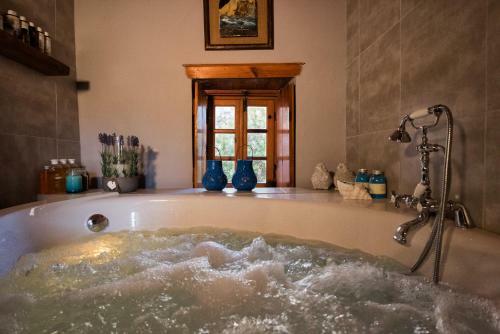 Villa Casa Felicia-the Castle Mansion
