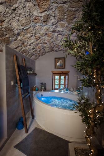 Villa Casa Felicia-the Castle Mansion