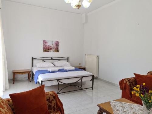 Grand Apartment