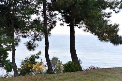 Summerday Villa Private Beach