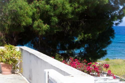 ''nirvana Seaside'' By The Beach