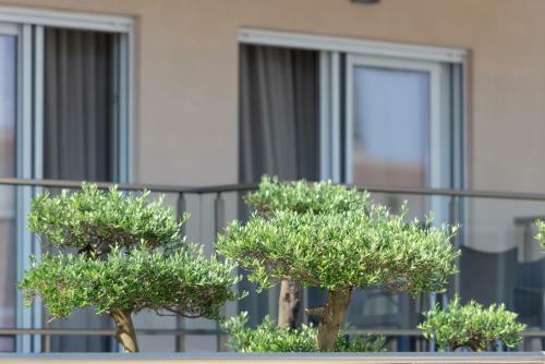 Crist Luxury Apartments