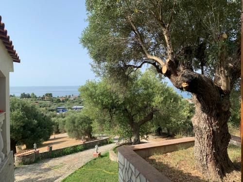 Olive Stone Villa