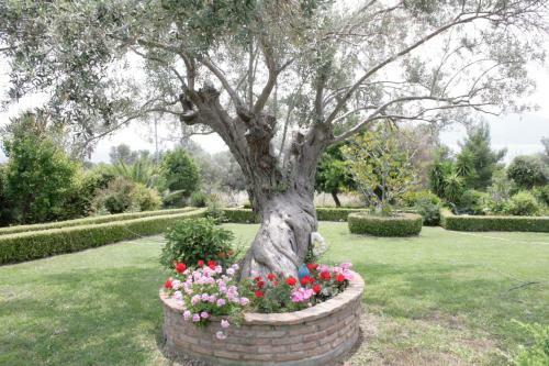 Vila Kalostous