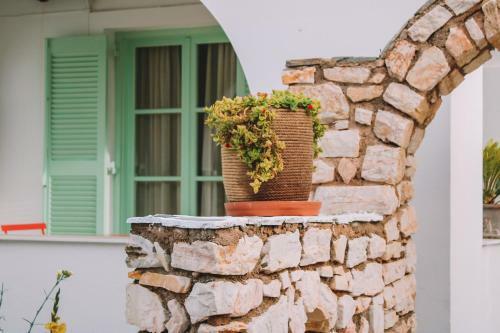 Apartamento Orion