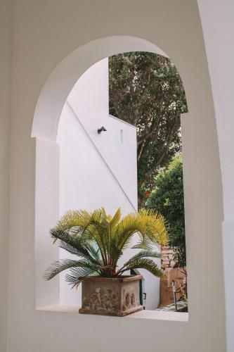 Apartamento Orion