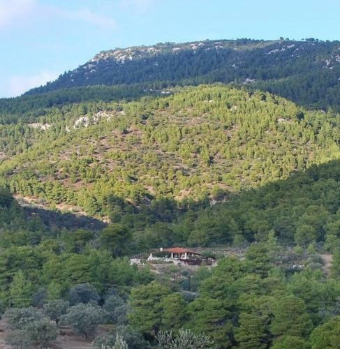 Agroturismo Villa Fairytale