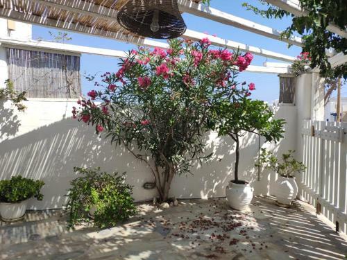 Charming House In Naoussa