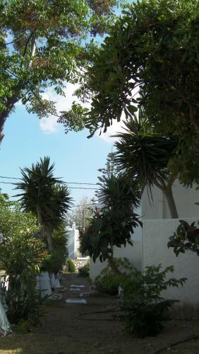 Apartamentos Astoria Paros